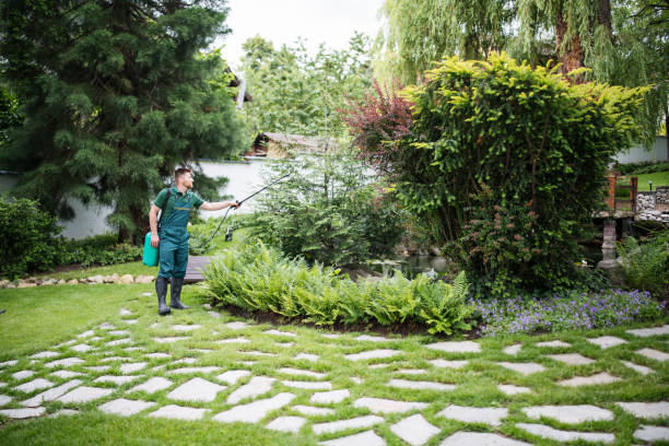 Best Best Pest Control Near Me  in Victory Lakes, NJ
