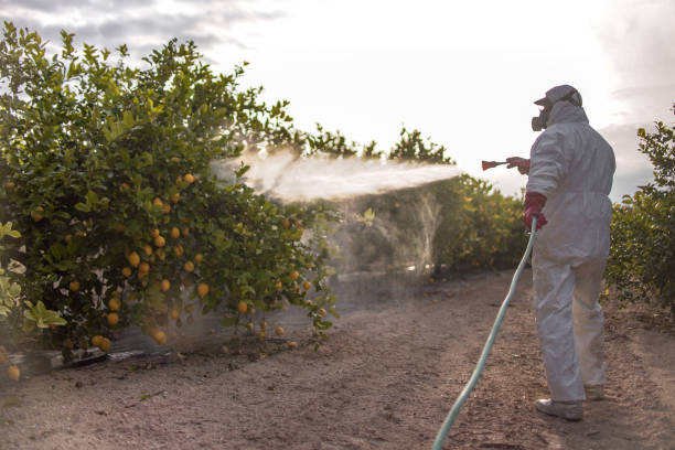 Best Affordable Pest Control Services  in Victory Lakes, NJ