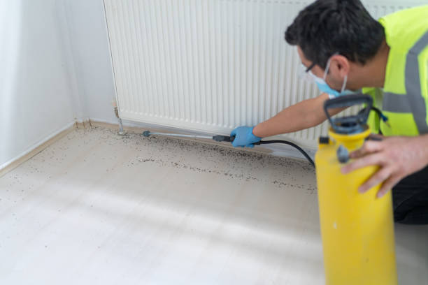 Best Cockroach Control Services  in Victory Lakes, NJ