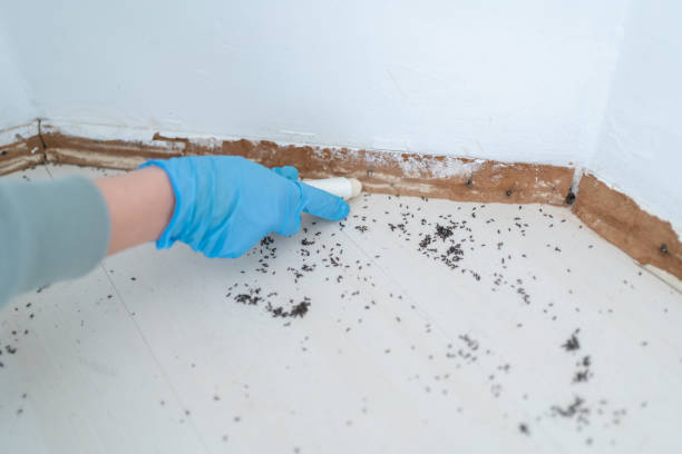 Wildlife Control Services in Victory Lakes, NJ