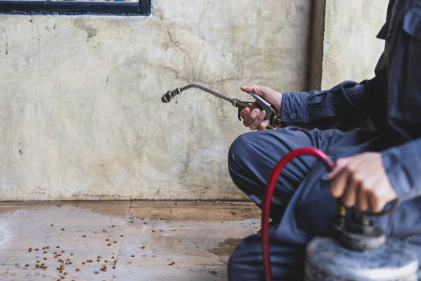 Best Local Pest Control Services  in Victory Lakes, NJ