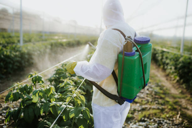 Best Ant Control Services  in Victory Lakes, NJ